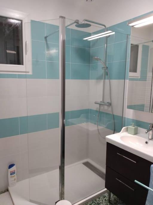 אופס Spacieuse Villa Avec Jardin A Deux Pas Du Centre מראה חיצוני תמונה